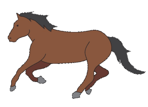 horse