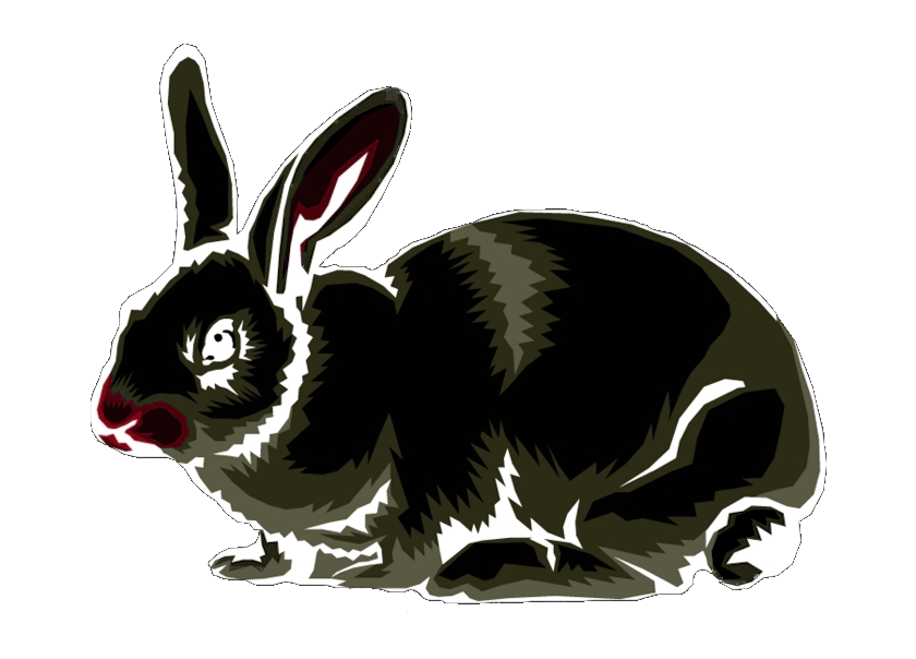 Rabbit