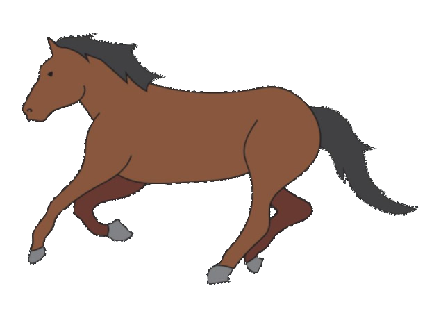 horse
